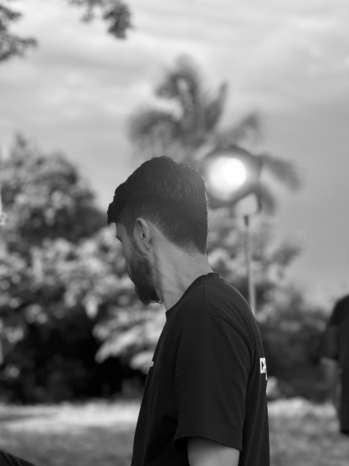 IMG7